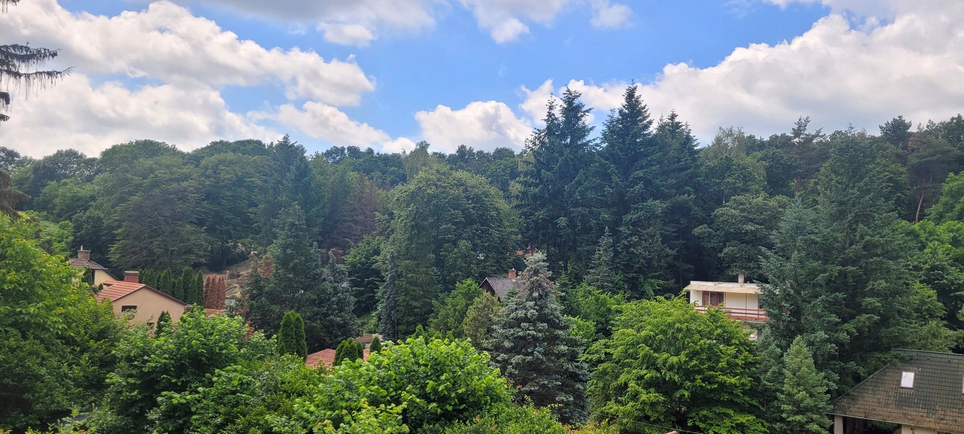 Miskolctapolca Ribiszke kert, terasz, panoráma